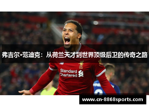 弗吉尔·范迪克：从荷兰天才到世界顶级后卫的传奇之路